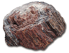 Photo of petrified wood; Photo © Scott Cancelosi, Arizona Secretary of State's Office used with permission