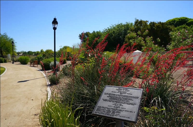 Photo of the garden