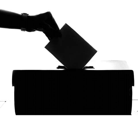 graphic of voting