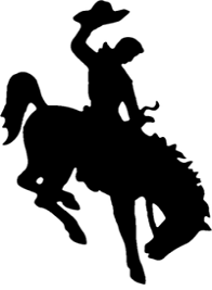 graphic of rodeo rider
